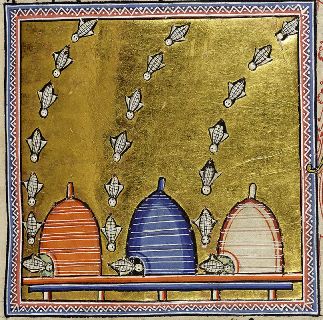 Bees flying into hives