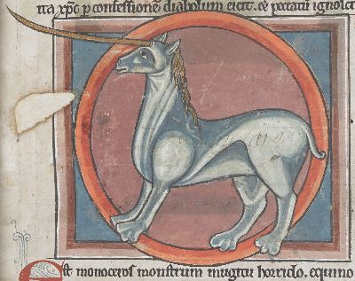 A white monocerus in a circular frame
