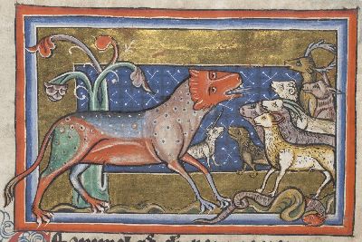 Panther attracking animals, dragon cowering
