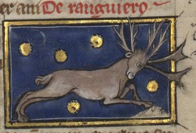 Reindeer with multiple branching horns