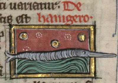 Haniger fish with a long beak