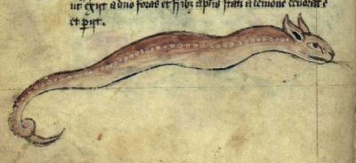 A snake with ears