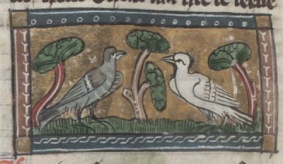 Doves, two colors